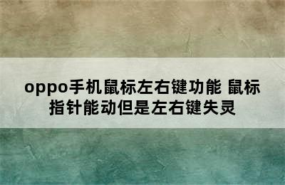 oppo手机鼠标左右键功能 鼠标指针能动但是左右键失灵